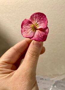 A propos de moi img 5920